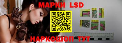 спиды Аргун