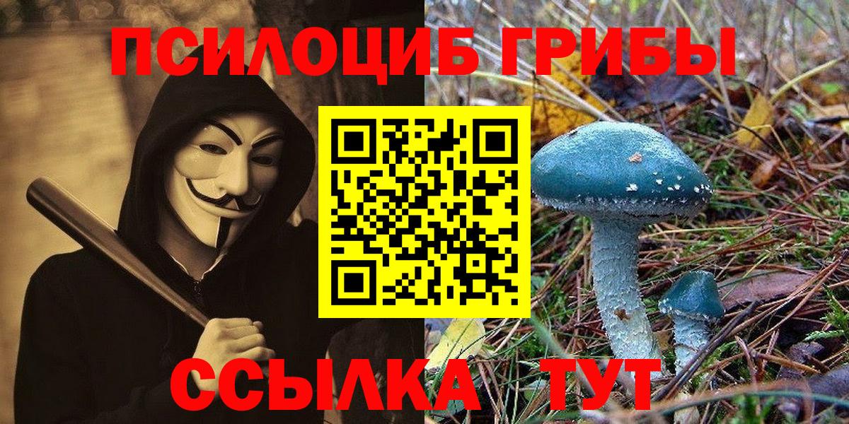 Псилоцибиновые грибы Psilocybe  купить   Ахтубинск  Вход с VPN  Галлюциногенные грибы Psilocybe 